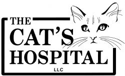 The Cat's Hospital